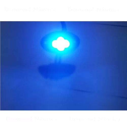 Luz De Cortesia Azul Com Led 12 Volts